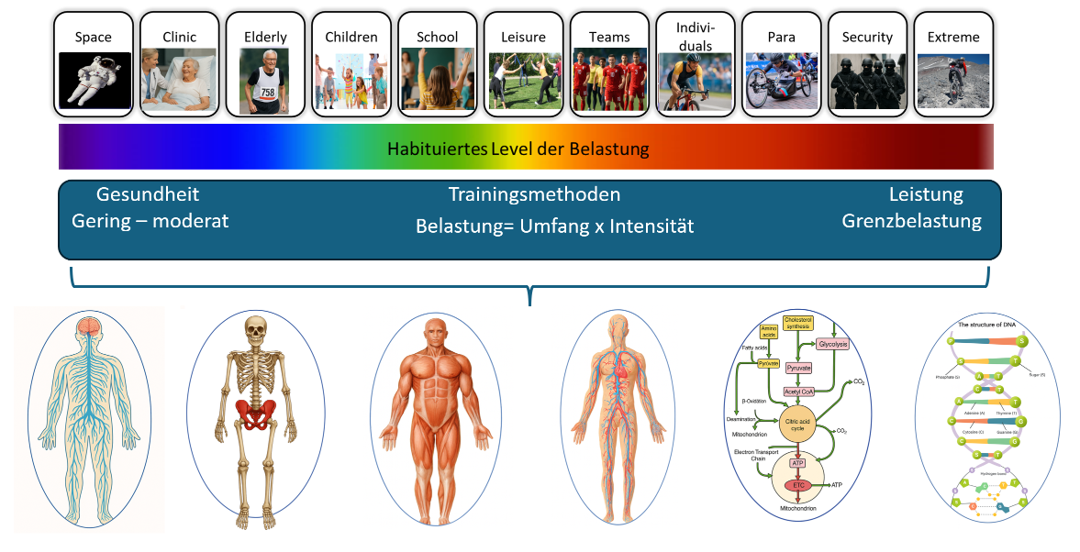Signalwege Grafik